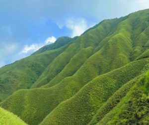 抹茶冰淇淋山