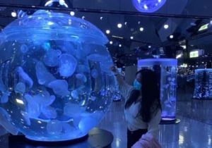 Xpark 一定要預約嗎