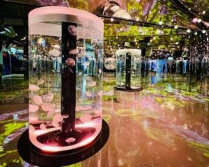 xpark入場時間限制