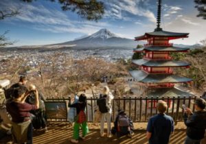 淡季賞景
