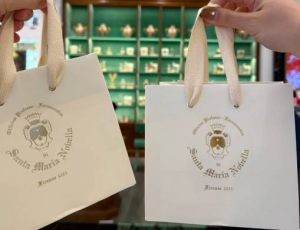 Santa Maria Novella(SMN)